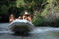Jungle tour anyone?